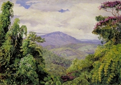 View of the Piedade Mountains from Congo, Brazil by Marianne North