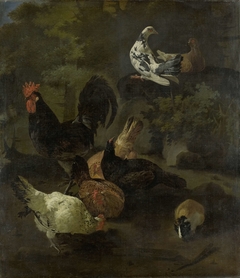 A Cock, Hens, Doves, and a Marmot by Jacomo Victors