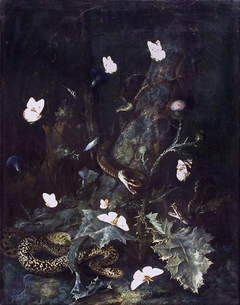 A forest floor with snakes and butterflies by Otto Marseus van Schrieck