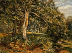 A Glade in Cadzow Forest by Alexander Fraser