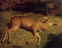Biche morte by Gustave Courbet