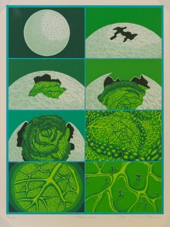 Cabbage Moon by Tiger Tateishi