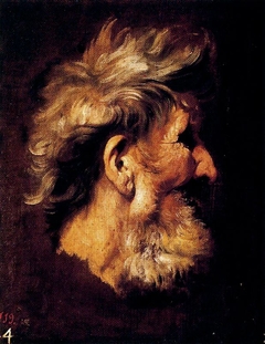 Cabeza de viejo by Pietro Paolo Bonzi