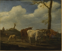 Cattle and Sheep with a Herdsman by Paulus Potter