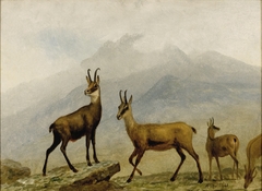 Chamois by Albert Bierstadt