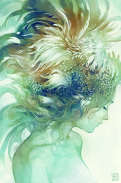 Comb by Anna Dittmann