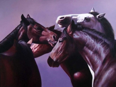 Equine five by peter j bailey