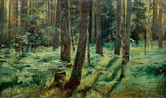 Ferns in the Forest. Siverskaya. Study by Ivan Shishkin