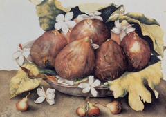 Figs by Giovanna Garzoni