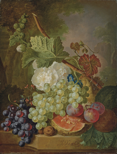 Flowers, grapes, plums, walnuts and a melon on a stone ledge by Jan van Os