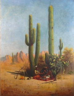 Giant Cacti in Southern Arizona by Rudolf Cronau