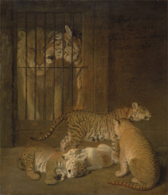 Group of Whelps Bred between a Lion and a Tigre by Jacques-Laurent Agasse