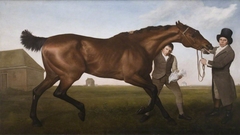 Hambletonian, Rubbing Down by George Stubbs