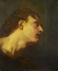 Head of a Young Man by Anthony van Dyck