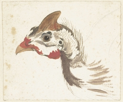 Kop van een vogel by Aert Schouman