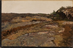 Landscape from the Inland of Jæren by Nicolai Ulfsten