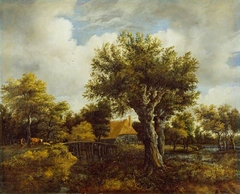 Landscape with a Farm by Salomon Rombouts