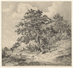 Landschap met boom by Martinus Antonius Kuytenbrouwer jr.