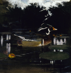 Male Wood Duck in a Forest Pool, study for book Concealing Coloration in the Animal Kingdom by Abbott Handerson Thayer