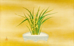 Orchid in Bloom in a Porcelain Dish by Kanō Tsunenobu