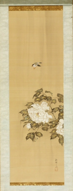 Oriole, butterfly and peonies in rain by Ikeda Koson