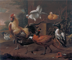 Poultry-yard by Melchior d'Hondecoeter