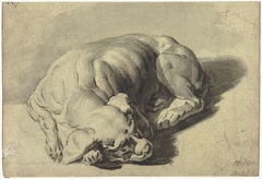 Slapende hond by Gerard ter Borch I