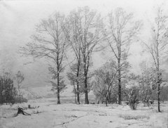 Snow Flurries by John F Carlson