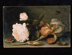 Still Life with Rose and Iris by Balthasar van der Ast