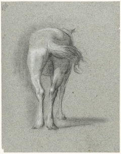 Studie van het achterlijf van een paard by Moses ter Borch