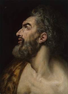 Study Head of a Bearded Man by Frans Floris I