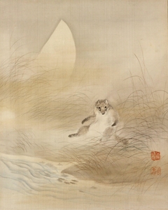 Tanuki (racoon) with Autumn Moon by Mori Kansai