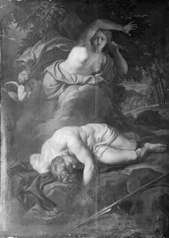 Venus Weeping over the Slain Adonis by Victor Honoré Janssens