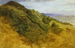 View near Redhill by William Linnell