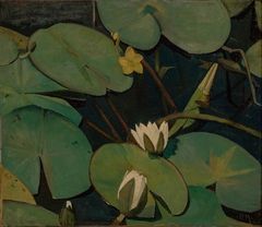 Water Lilies by Piet Meiners