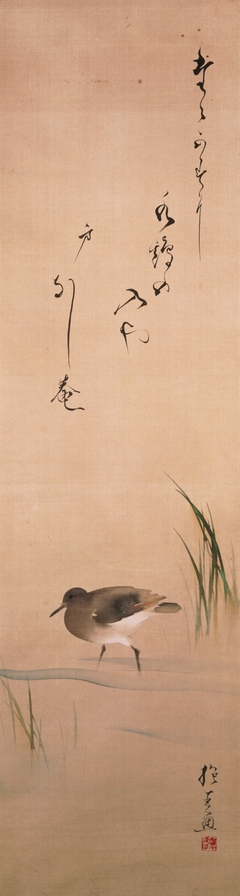 Waterbird and Grass by Sakai Hoitsu