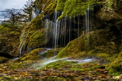 Waterfall Scene Near Waltonhurst by Gert J Rheeders