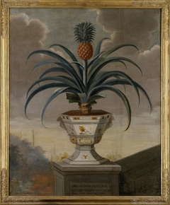 Ananas i kruka by David von Cöln