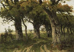 Avenue of Oaks in Late Summer by Maria Bilders-van Bosse