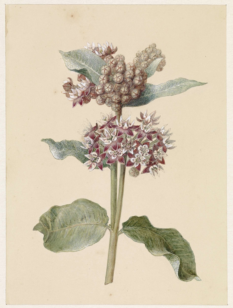 Exhibit image