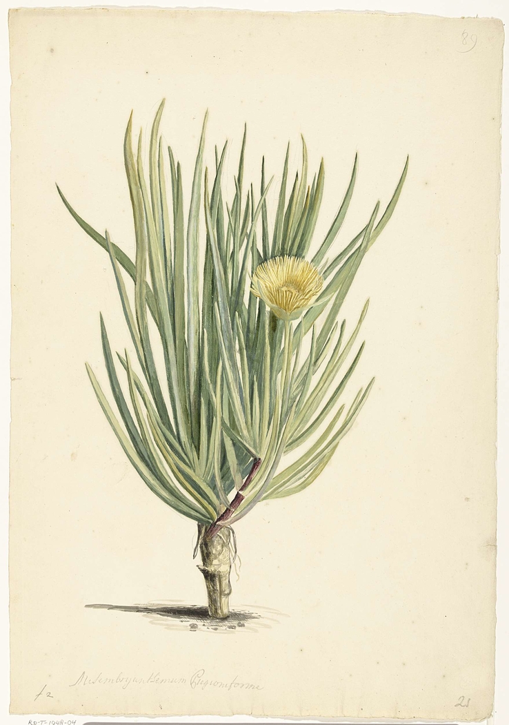 Exhibit image