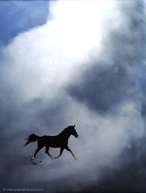Exhibit image