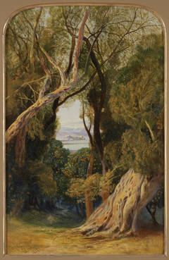 Corfu from near the Village of Virós by Edward Lear