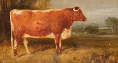 'Daisy', A Longhorn Cow in a Landscape, the Property of John Henry Whitmore-Jones of Chastleton by Thomas Woodward