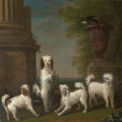 Dancing Dogs: 'Lusette', 'Madore', 'Rosette' and 'Moucheby' by John Wootton