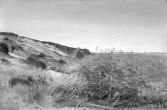 Dunes and Rushes by Hans Smidth