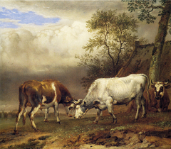 Fighting Bulls by Paulus Potter