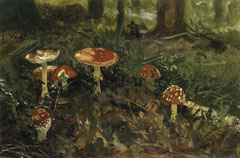 Fly-agarics. Study by Ivan Shishkin