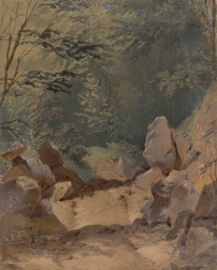 Forest Scenery with Rocks by Friedrich Carl von Scheidlin