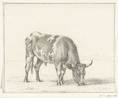 Grazende stier, naar rechts by Jean Bernard